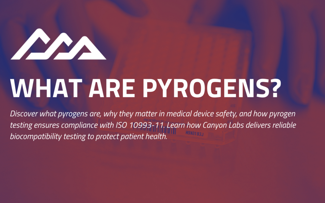 What Are Pyrogens?